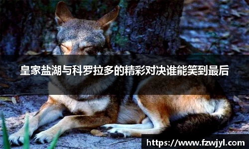 乐动LDSports综合体育
